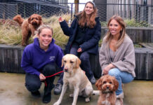 Macht etwas, wofür ihr wirklich leidenschaftlich seid petgood Haustierprodukte auf Insektenbasis